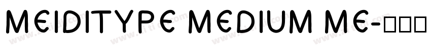 MEIDITYPE MEDIUM ME字体转换